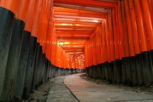 Torii au sanctuaire Fushimi Inari Taisha