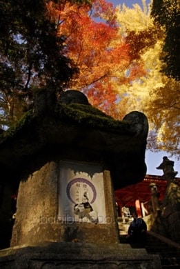 Lanterne de pierre au sanctuaire Kasuga Taisha, Nara, Japon