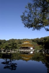 Kinkaku-ji le pavillon d'or - Kyoto