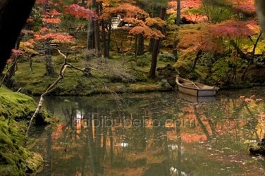 kokedera moss temple garden kyoto