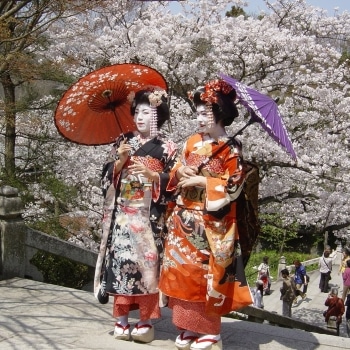 Geisha à Kyoto Geisha à Kyoto, Japon