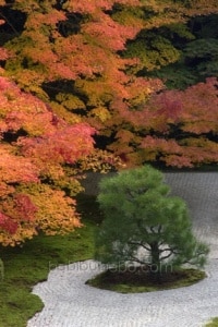 Jardins autour de Nanzen-ji, Kyoto