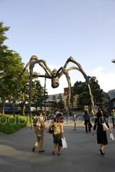 L'araignée de Roppongi Hills, Tokyo, Japon