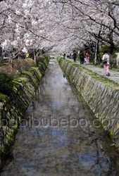 Tetsugaku no michi, Kyoto, Japon