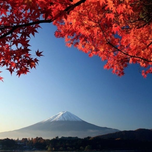 Mont Fuji automne