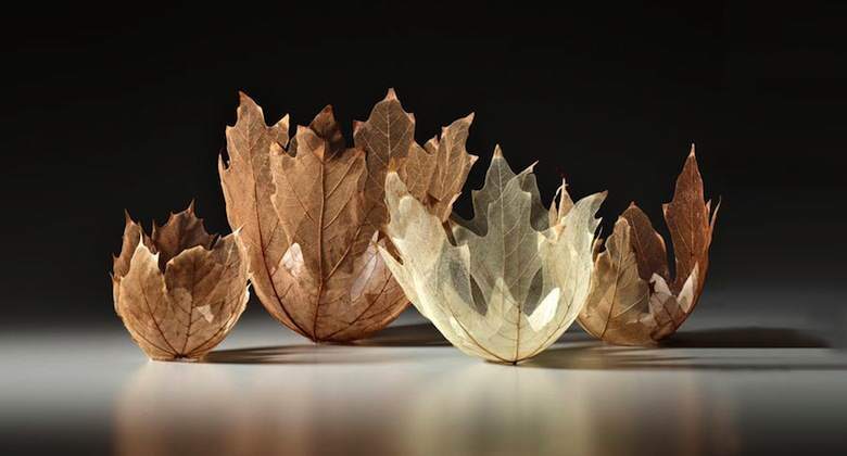 Les sculptures délicates en feuilles mortes de Kay Sekimachi