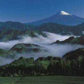 Mont Fuji, vue de Shizuoka