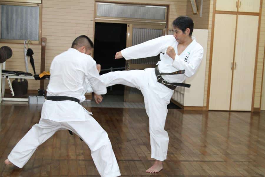 Arts martiaux, Okinawa